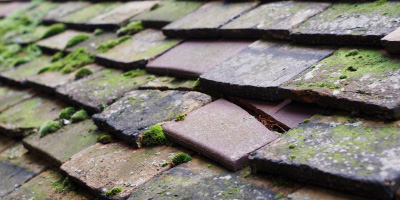 Coldra roof repair costs